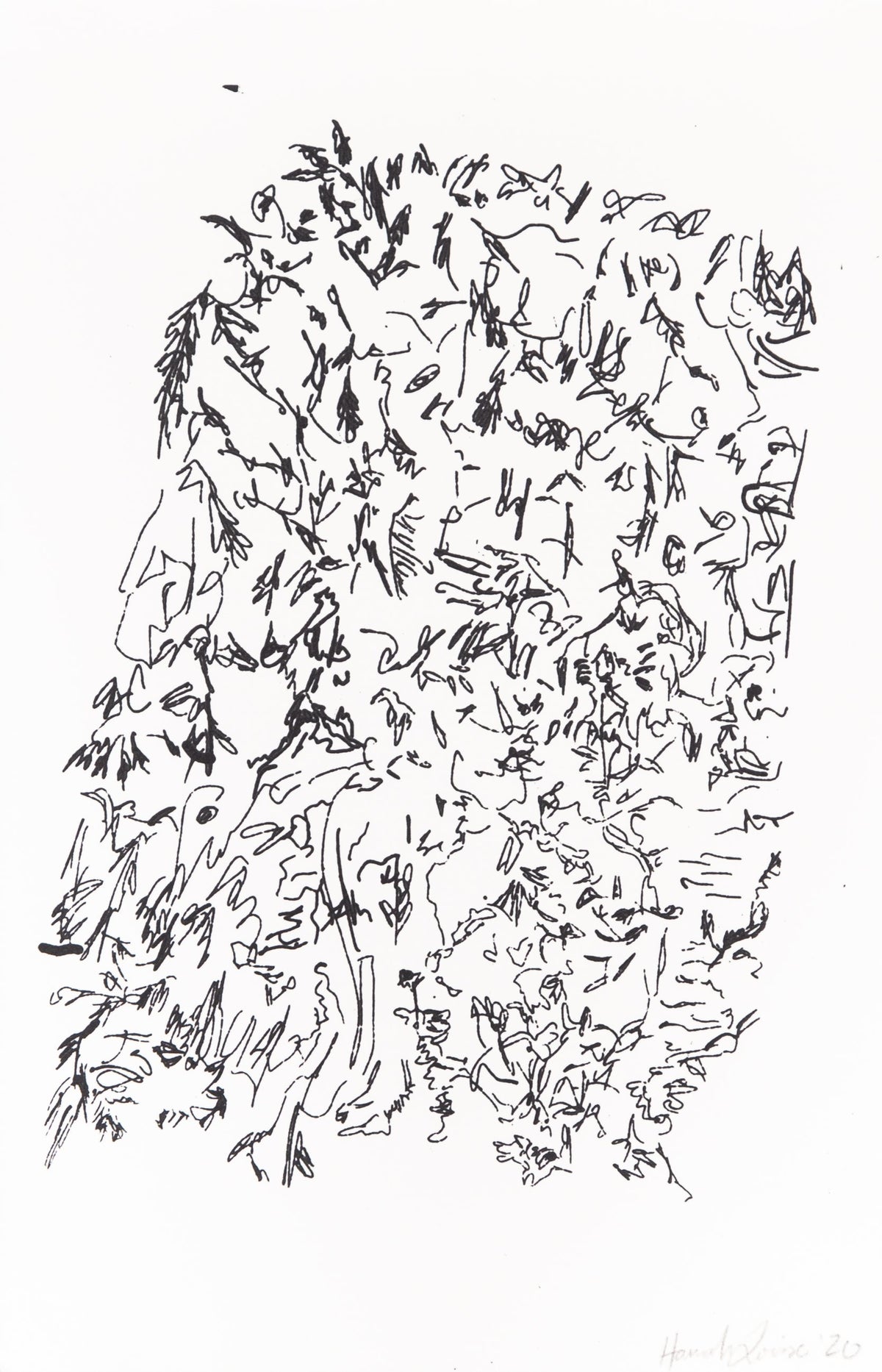 Moss