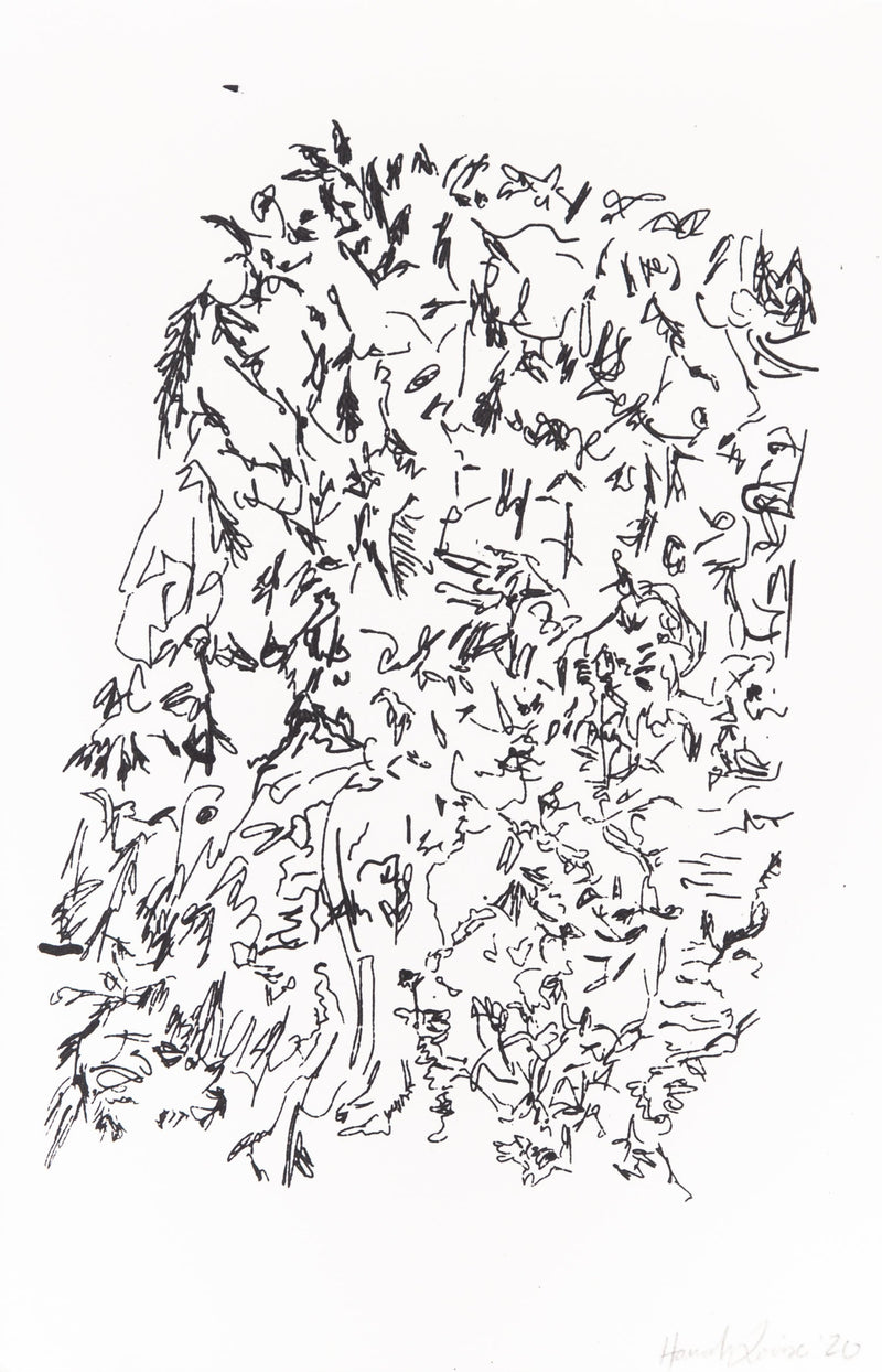 Moss